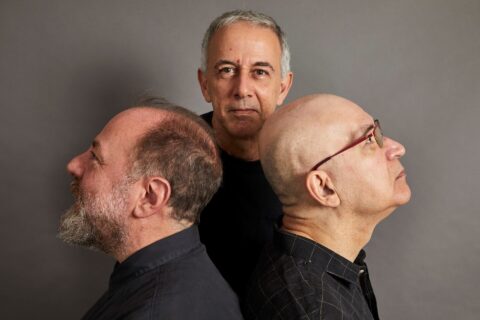 os paralamas do sucesso