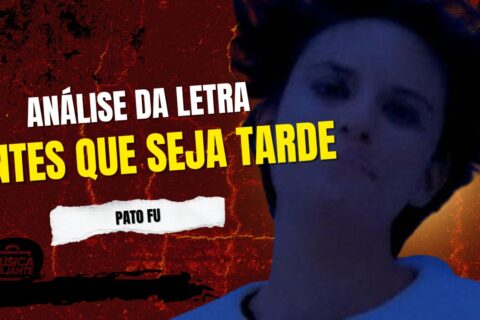 Análise da letra antes que seja tarde - pato fu
