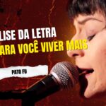 Análise da letra canção para você viver mais - pato fu