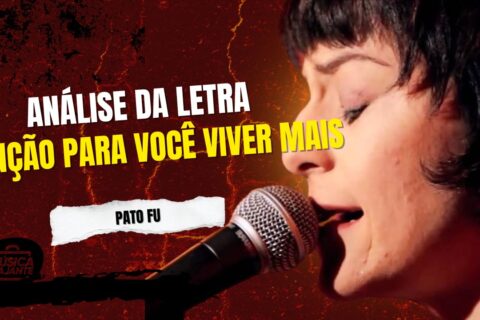 Análise da letra canção para você viver mais - pato fu