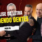 Análise da letra perdendo dentes - pato fu