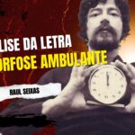 Análise da letra metamorfose ambulante - raul seixas