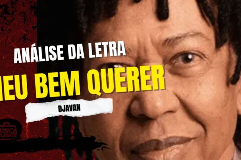 Análise da letra meu bem querer - djavan