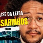 Análise da letra passarinhos - emicida