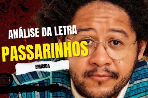 Análise da letra passarinhos - emicida