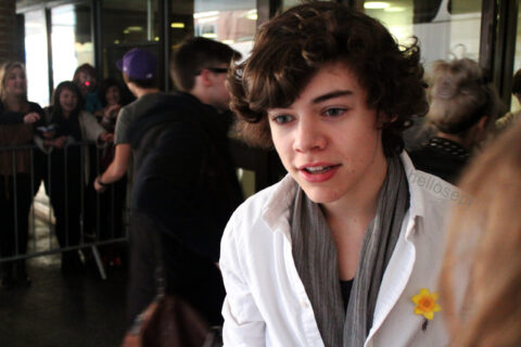 Harry Styles em show