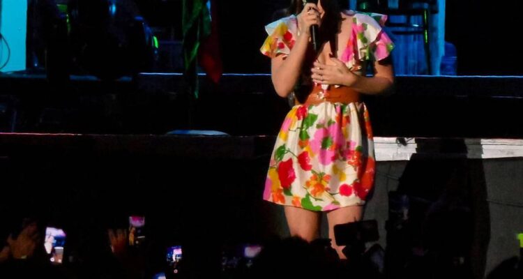 Lana Del Rey se apresentando ao vivo em festival